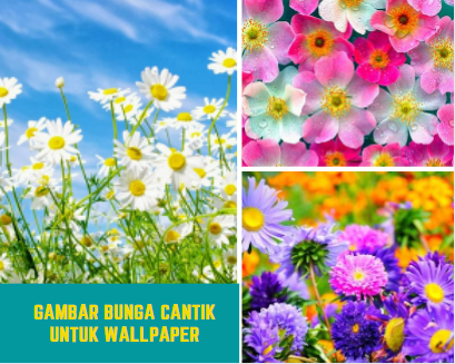 Gambar Bunga Cantik Untuk Wallpaper