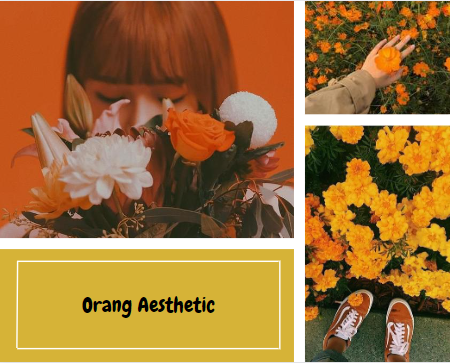 Orang Aesthetic