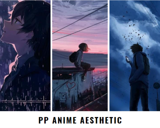 PP Anime Aesthetic