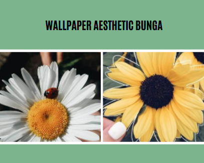 Wallpaper Aesthetic Bunga
