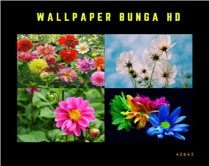 Wallpaper Bunga Hd