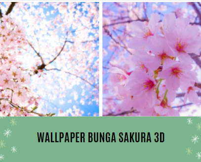 Wallpaper Bunga Sakura 3d