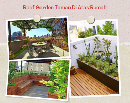 Roof Garden Taman Di Atas Rumah