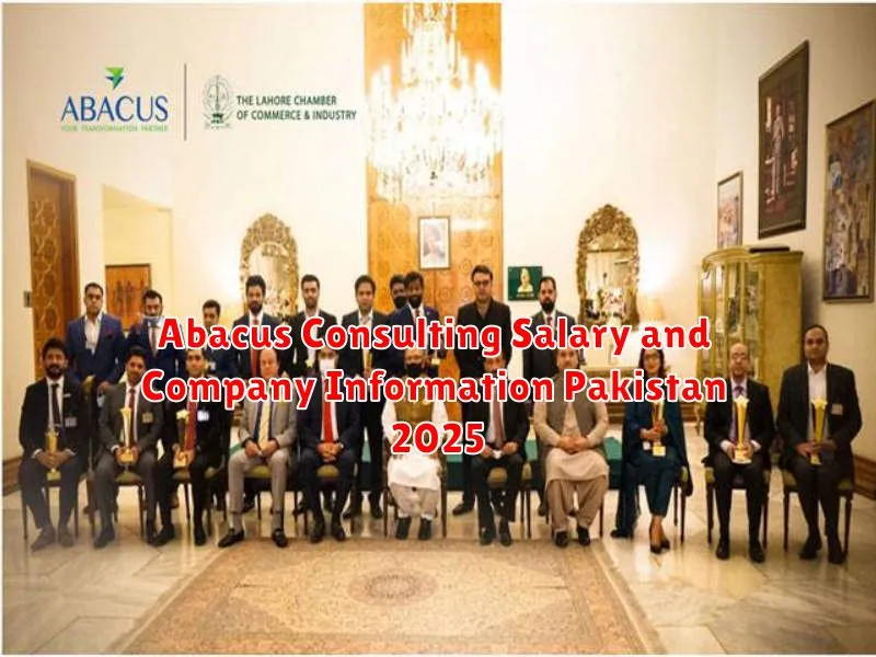 Abacus Consulting Salary and Company Information Pakistan 2025