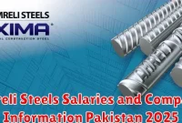 Amreli Steels Salaries and Company Information Pakistan 2025