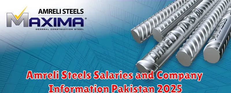 Amreli Steels Salaries and Company Information Pakistan 2025
