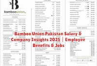 Bamboo Union Pakistan Salary & Company Insights 2025 | Employee Benefits & Jobs