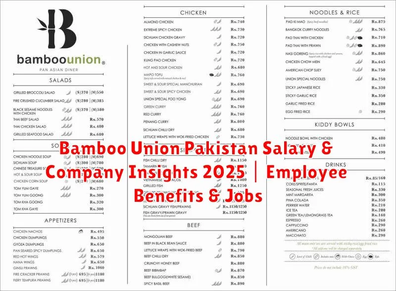 Bamboo Union Pakistan Salary & Company Insights 2025 | Employee Benefits & Jobs