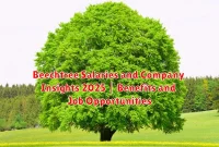 Beechtree Salaries and Company Insights 2025 | Benefits and Job Opportunities