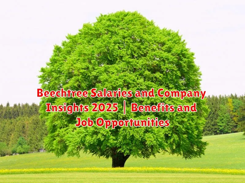 Beechtree Salaries and Company Insights 2025 | Benefits and Job Opportunities