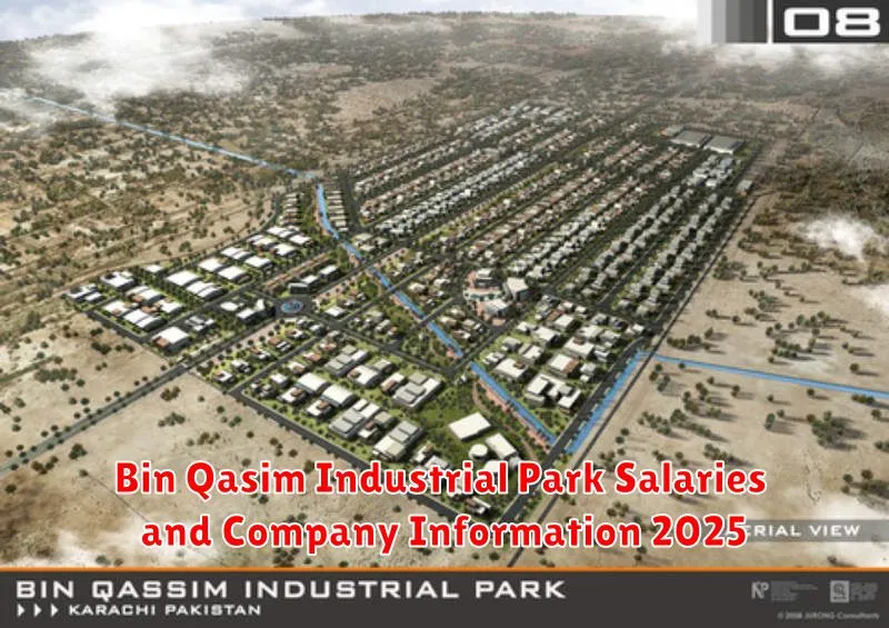 Bin Qasim Industrial Park Salaries and Company Information 2025