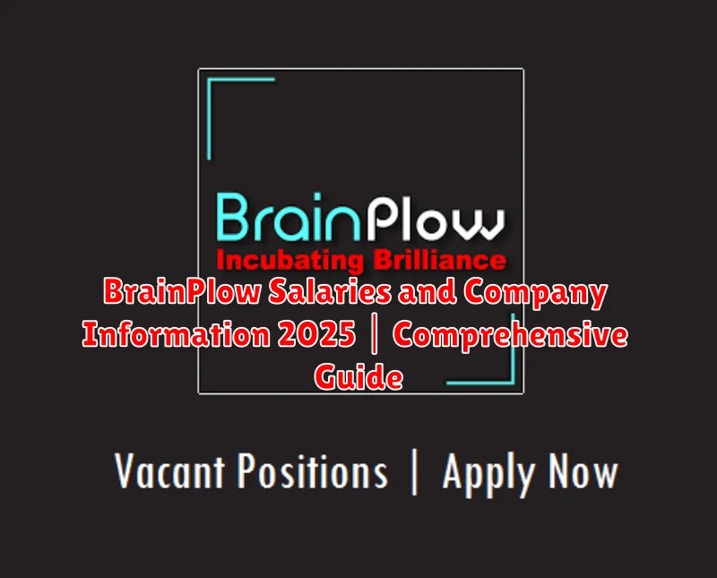 BrainPlow Salaries and Company Information 2025 | Comprehensive Guide