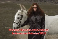 Breakout Salaries and Company Information Pakistan 2025