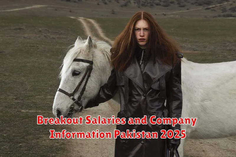 Breakout Salaries and Company Information Pakistan 2025