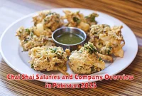 Chai Shai Salaries and Company Overview in Pakistan 2025