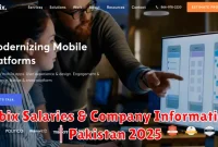 Cubix Salaries & Company Information | Pakistan 2025