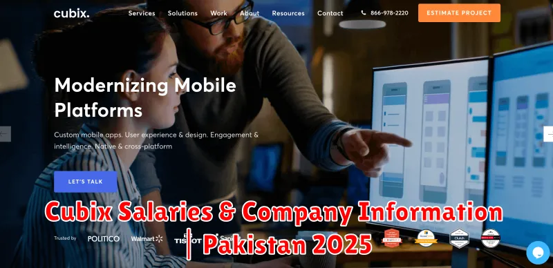Cubix Salaries & Company Information | Pakistan 2025