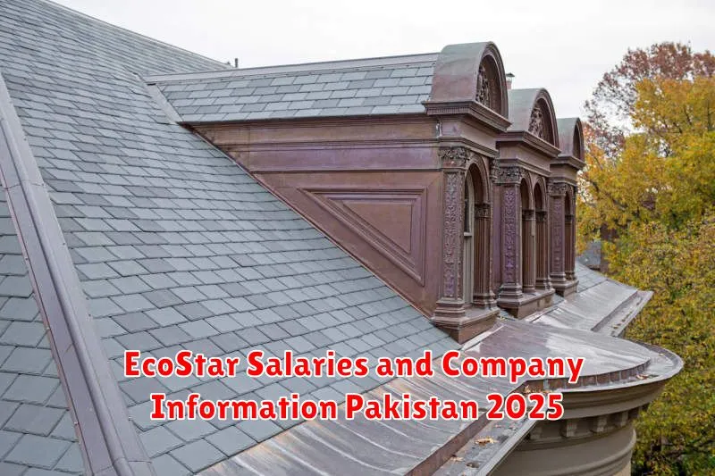 EcoStar Salaries and Company Information Pakistan 2025