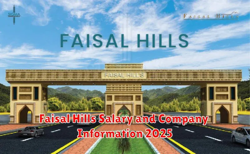 Faisal Hills Salary and Company Information 2025
