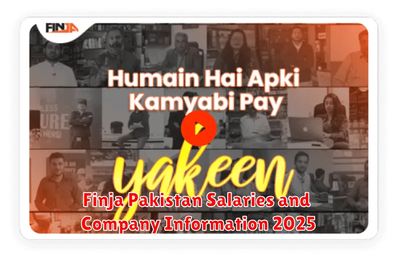 Finja Pakistan Salaries and Company Information 2025