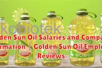 Golden Sun Oil Salaries and Company Information | Golden Sun Oil Employee Reviews