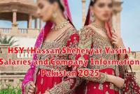 HSY (Hassan Sheheryar Yasin) Salaries and Company Information Pakistan 2025