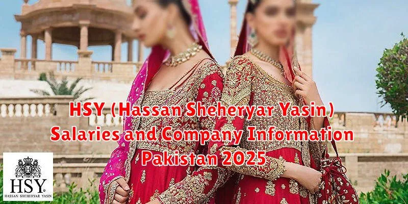 HSY (Hassan Sheheryar Yasin) Salaries and Company Information Pakistan 2025