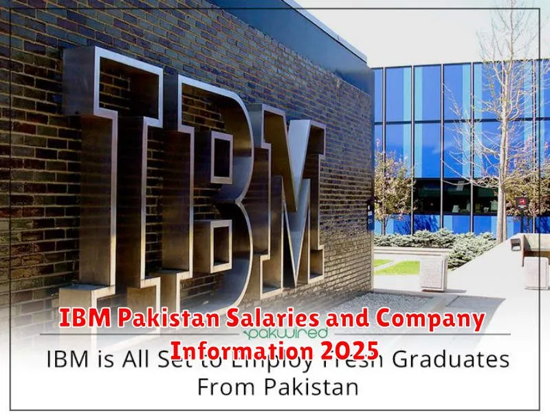 IBM Pakistan Salaries and Company Information 2025