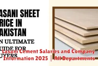 Lasani Cement Salaries and Company Information 2025 | All Departments