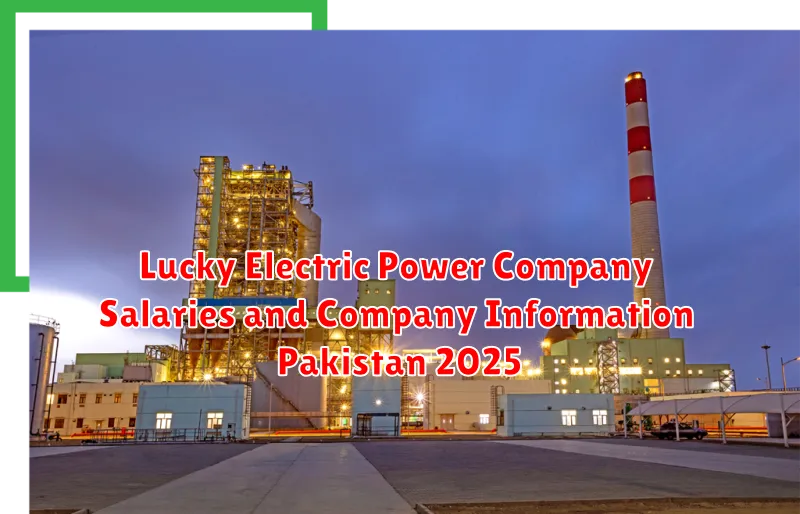 Lucky Electric Power Company Salaries and Company Information Pakistan 2025