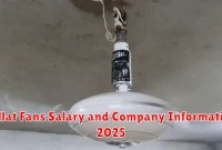 Millat Fans Salary and Company Information 2025