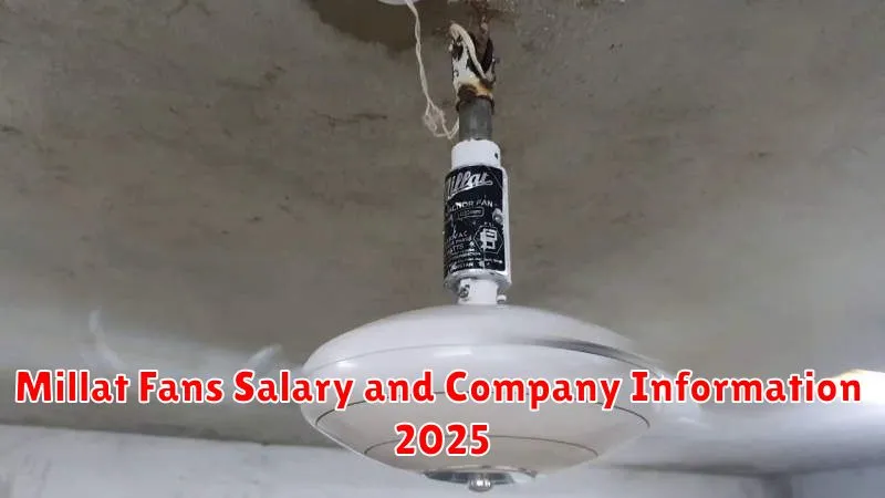 Millat Fans Salary and Company Information 2025