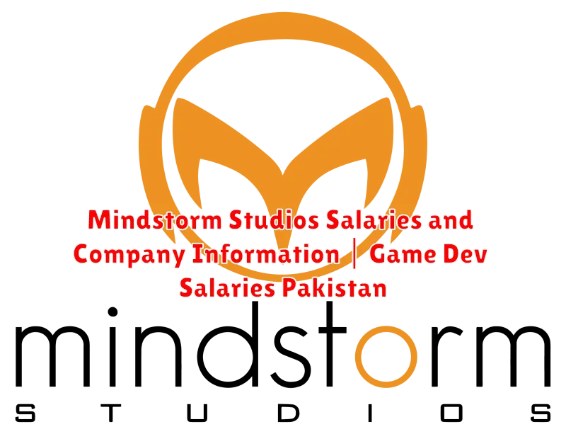 Mindstorm Studios Salaries and Company Information | Game Dev Salaries Pakistan