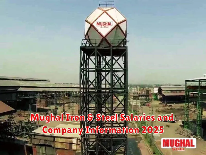 Mughal Iron & Steel Salaries and Company Information 2025