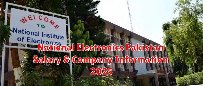 National Electronics Pakistan Salary & Company Information 2025