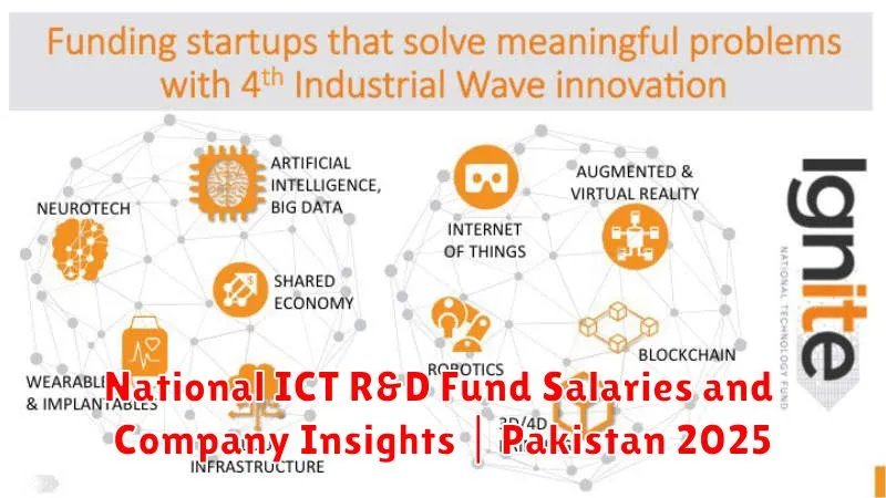 National ICT R&D Fund Salaries and Company Insights | Pakistan 2025