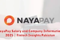 NayaPay Salary and Company Information 2025 | Fintech Insights Pakistan