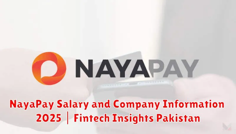 NayaPay Salary and Company Information 2025 | Fintech Insights Pakistan