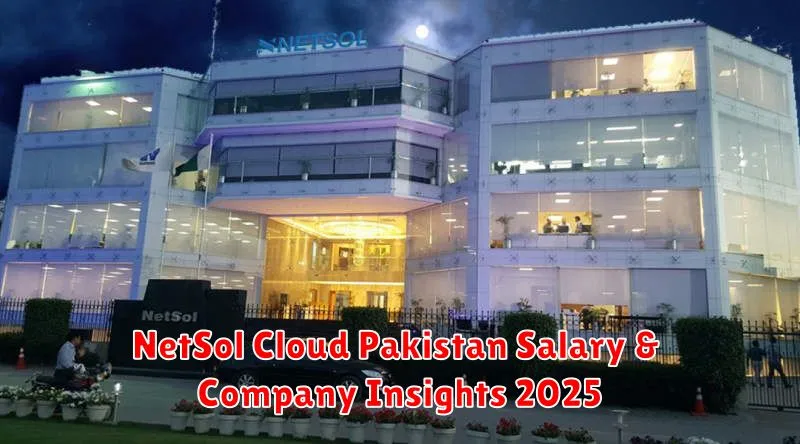 NetSol Cloud Pakistan Salary & Company Insights 2025