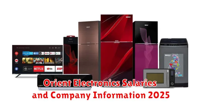 Orient Electronics Salaries and Company Information 2025