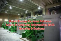 Orient Energy Systems Pakistan Salary & Company Information 2025 | Benefits & Reviews