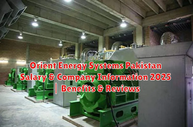Orient Energy Systems Pakistan Salary & Company Information 2025 | Benefits & Reviews