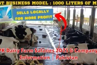 PK Dairy Farm Salaries 2025 & Company Information | Pakistan