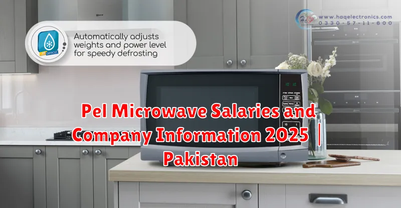Pel Microwave Salaries and Company Information 2025 | Pakistan