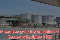 Puma Energy Pakistan Salary & Company Insights 2025