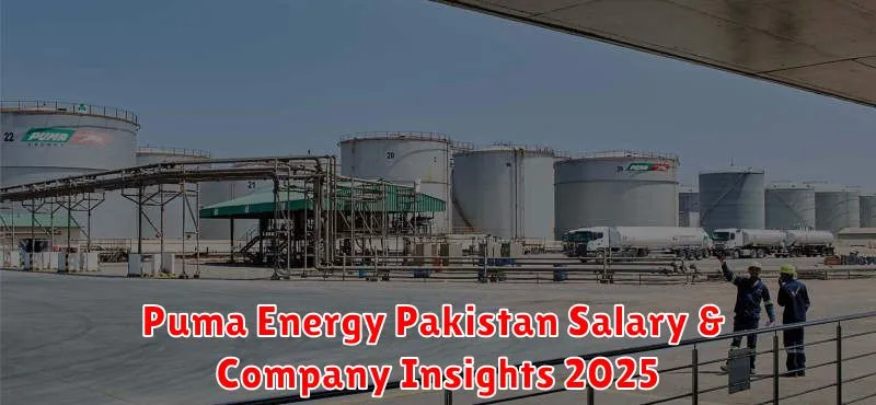 Puma Energy Pakistan Salary & Company Insights 2025