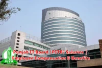 Punjab IT Board (PITB) Salaries | Employee Compensation & Benefits