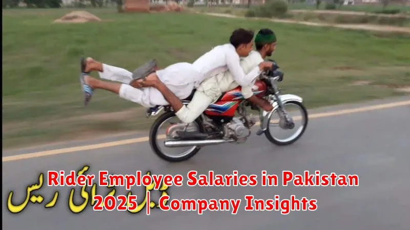Rider Employee Salaries in Pakistan 2025 | Company Insights