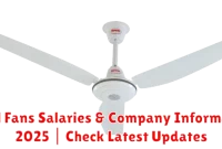 Royal Fans Salaries & Company Information 2025 | Check Latest Updates