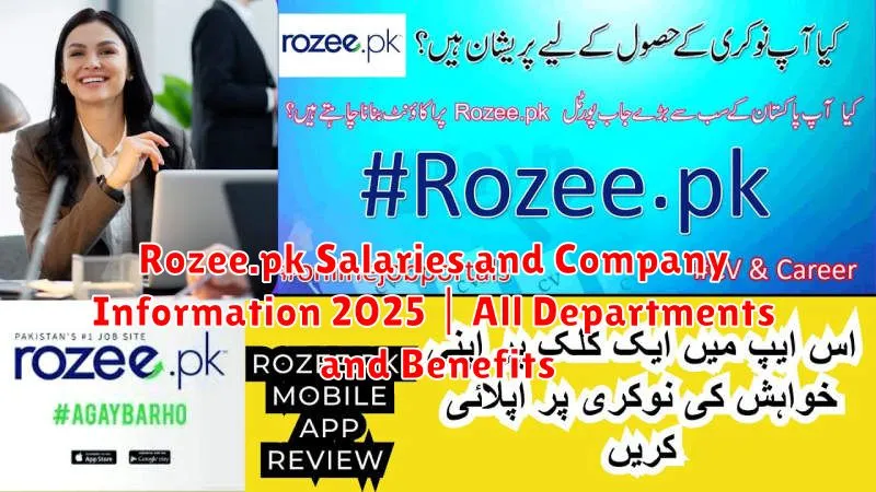 Rozee.pk Salaries and Company Information 2025 | All Departments and Benefits